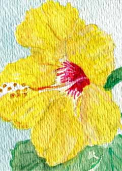 "Yellow Hibiscus" by Patricia O Driscoll, Madison WI - Watercolor 
